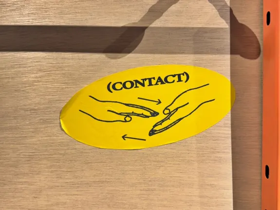 Wunderino Casino Stuðningur